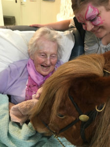 Pet Therapy Pony 