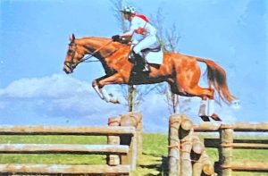 Fairbid at Wandin Horse Trials