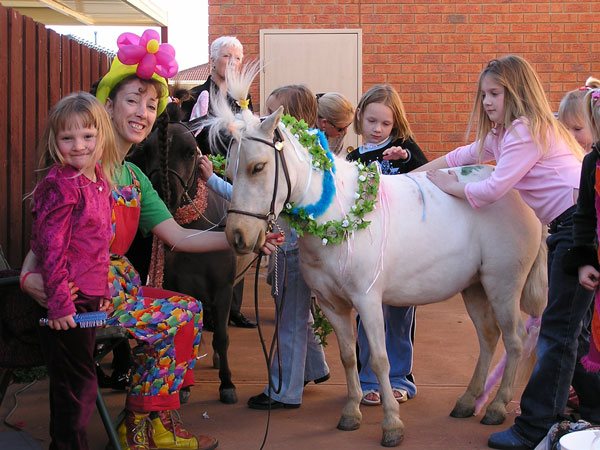 Groovy Groom n Glam Glamour Pony Party