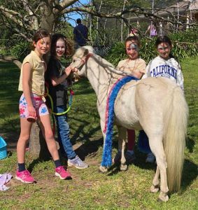 Pony Grooming Party