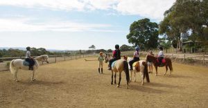 Mini Equestrains