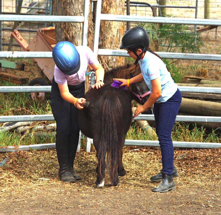 Mini-Equestrians-page-image2 Little Riders Club Doreen