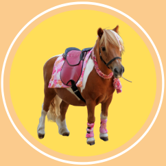 Kids pony party